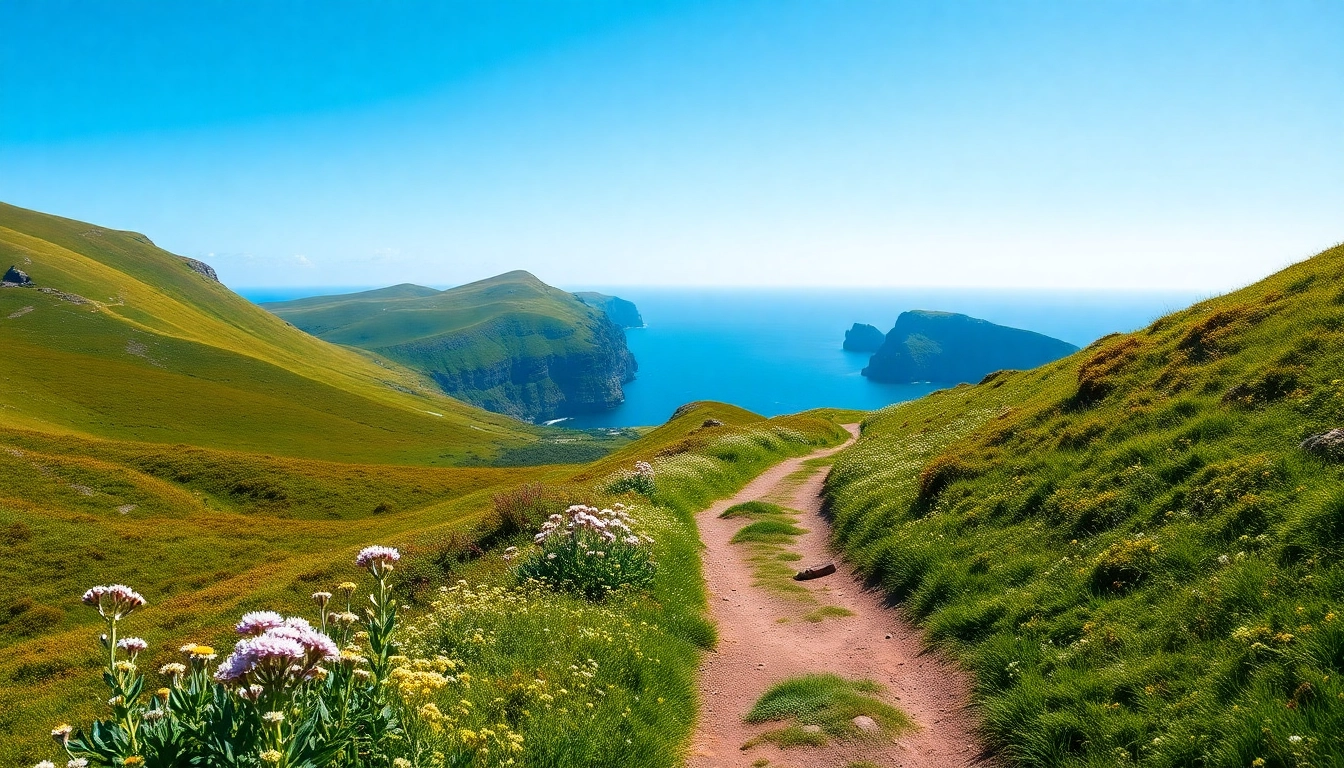Dingle Way Fernwanderweg mit blühenden Wildblumen und grünen Hügeln in der Sonne.